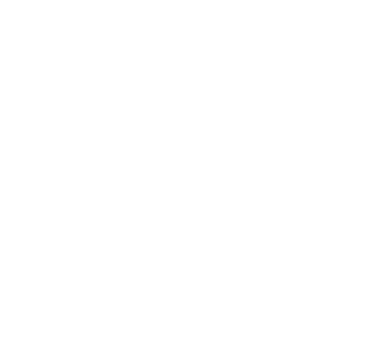 leistungen-carousell-datenerfassung